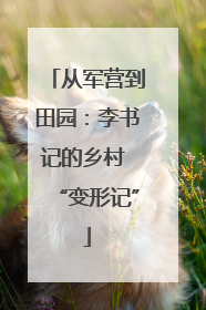 从军营到田园：李书记的乡村 “变形记”