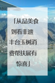 从品美食到看非遗 丰台玉树消费帮扶展有惊喜