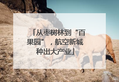 从枣树林到“百果园”，航空新城种出大产业