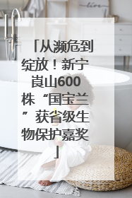 从濒危到绽放！新宁崀山600株“国宝兰”获省级生物保护嘉奖