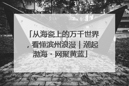 从海瓷上的万千世界，看懂滨州浪漫｜潮起渤海・网聚黄蓝
