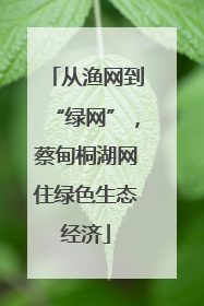 从渔网到“绿网”，蔡甸桐湖网住绿色生态经济