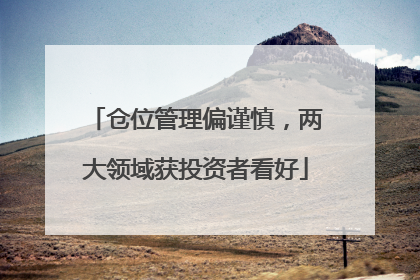 仓位管理偏谨慎，两大领域获投资者看好