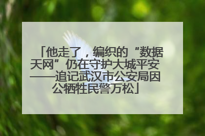 他走了，编织的“数据天网”仍在守护大城平安——追记武汉市公安局因公牺牲民警万松