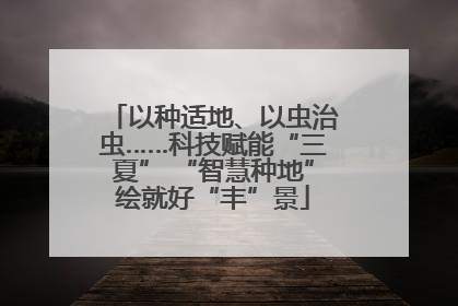 以种适地、以虫治虫……科技赋能“三夏” “智慧种地”绘就好“丰”景