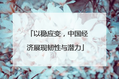 以稳应变，中国经济展现韧性与潜力