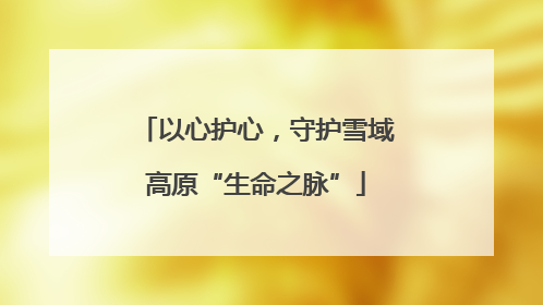以心护心，守护雪域高原“生命之脉”