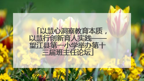 以慧心洞察教育本质，以慧行创新育人实践——望江县第一小学举办第十三届班主任论坛