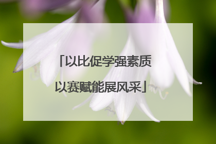 以比促学强素质 以赛赋能展风采