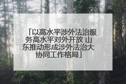 以高水平涉外法治服务高水平对外开放 山东推动形成涉外法治大协同工作格局