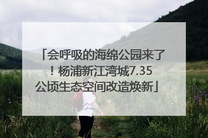会呼吸的海绵公园来了！杨浦新江湾城7.35公顷生态空间改造焕新