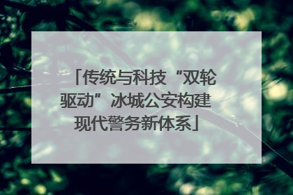 传统与科技“双轮驱动”冰城公安构建现代警务新体系