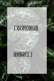 双拥潮涌刺桐红