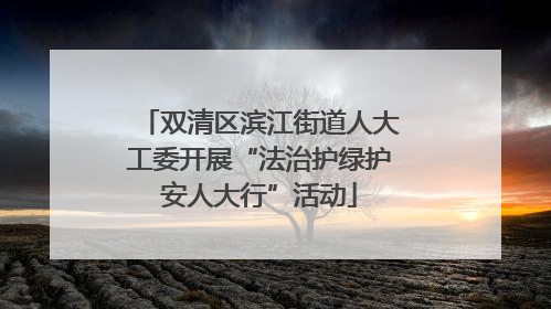 双清区滨江街道人大工委开展“法治护绿护安人大行”活动