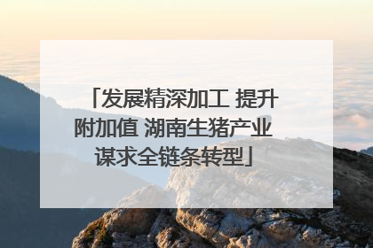 发展精深加工 提升附加值 湖南生猪产业谋求全链条转型