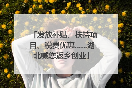 发放补贴、扶持项目、税费优惠……湖北喊您返乡创业