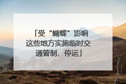 受“蝴蝶”影响 这些地方实施临时交通管制、停运