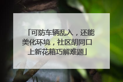 可防车辆乱入，还能美化环境，社区胡同口上新花箱巧解难题