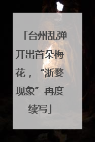 台州乱弹开出首朵梅花，“浙婺现象”再度续写