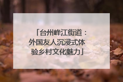 台州峰江街道：外国友人沉浸式体验乡村文化魅力