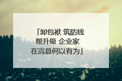 卸包袱 筑防线 帮升级 企业家在嵩县何以有为