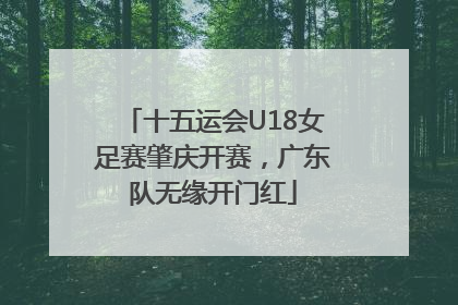 十五运会U18女足赛肇庆开赛，广东队无缘开门红