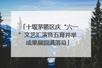 十堰茅箭区庆“六一”文艺汇演暨五育并举成果展圆满落幕