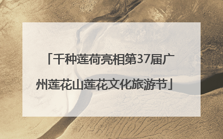 千种莲荷亮相第37届广州莲花山莲花文化旅游节