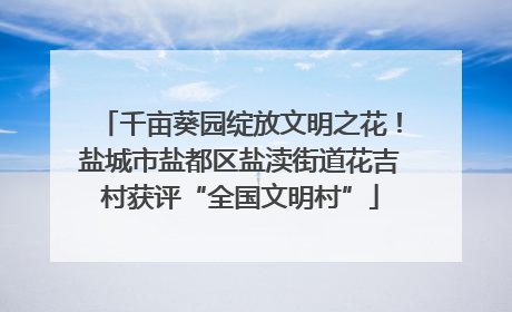 千亩葵园绽放文明之花！盐城市盐都区盐渎街道花吉村获评“全国文明村”