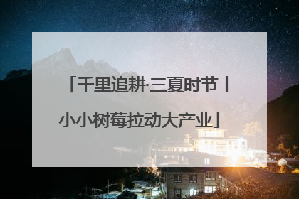 千里追耕·三夏时节丨小小树莓拉动大产业