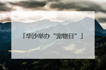 华沙举办“宠物日”