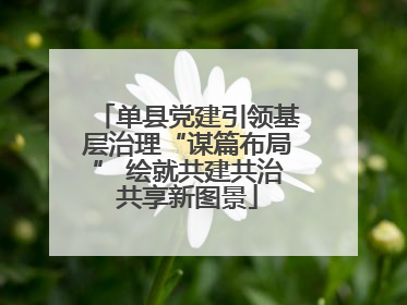 单县党建引领基层治理“谋篇布局” 绘就共建共治共享新图景
