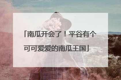 南瓜开会了！平谷有个可可爱爱的南瓜王国
