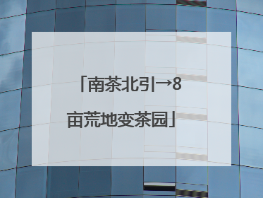 南茶北引→8亩荒地变茶园