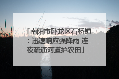 南阳市卧龙区石桥镇：迅速响应强降雨 连夜疏通河道护农田