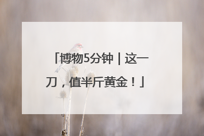 博物5分钟｜这一刀，值半斤黄金！