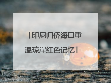 印尼归侨海口重温琼崖红色记忆