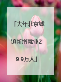 去年北京城镇新增就业29.9万人