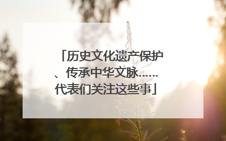历史文化遗产保护、传承中华文脉……代表们关注这些事