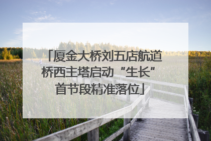 厦金大桥刘五店航道桥西主塔启动“生长” 首节段精准落位