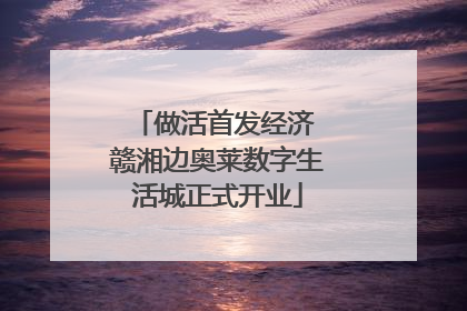 做活首发经济 赣湘边奥莱数字生活城正式开业