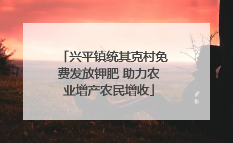 兴平镇统其克村免费发放钾肥 助力农业增产农民增收