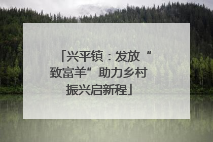 兴平镇：发放“致富羊”助力乡村振兴启新程