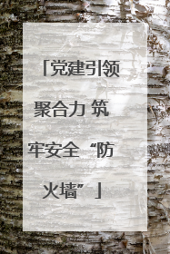 党建引领聚合力 筑牢安全“防火墙”