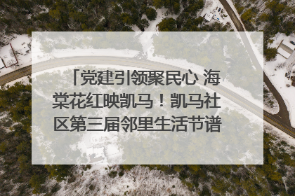 党建引领聚民心 海棠花红映凯马！凯马社区第三届邻里生活节谱写幸福新篇章