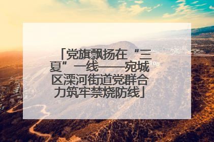 党旗飘扬在“三夏”一线——宛城区溧河街道党群合力筑牢禁烧防线
