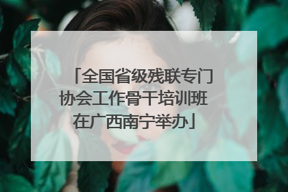 全国省级残联专门协会工作骨干培训班在广西南宁举办