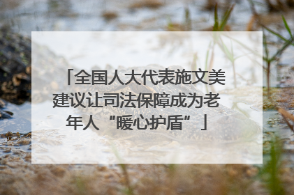 全国人大代表施文美建议让司法保障成为老年人“暖心护盾”
