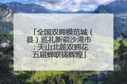 全国双拥模范城（县）巡礼新疆沙湾市：天山北麓双拥花 五届蝉联铸辉煌
