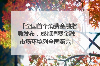 全国首个消费金融指数发布，成都消费金融市场环境列全国第六